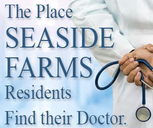 Seaside Farms medical - 300x250 banner